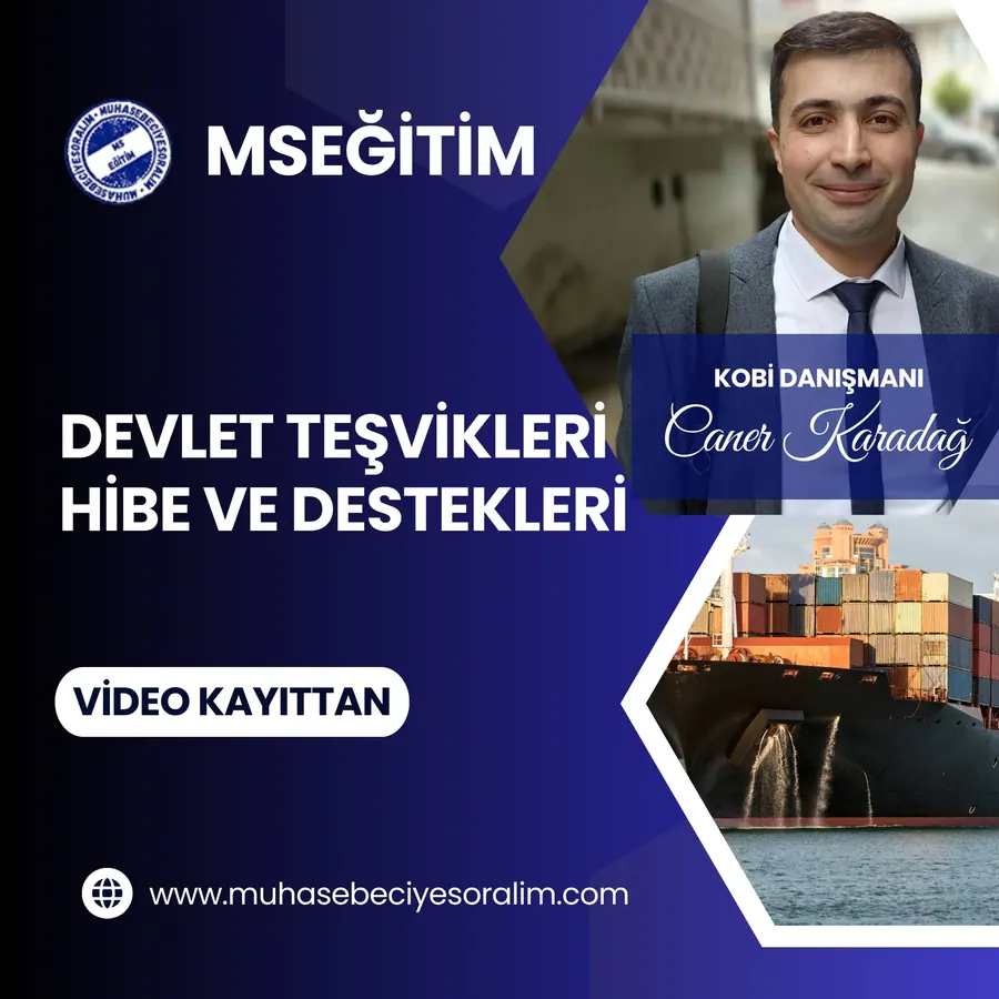 Devlet Teşvikleri, Hibe ve Destekler